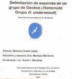Portada local