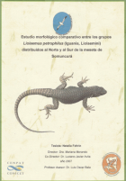 Portada local